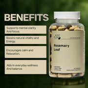 Just Plant Rosemary Leaf Supplement – 90 Vegan Capsules, 500 mg