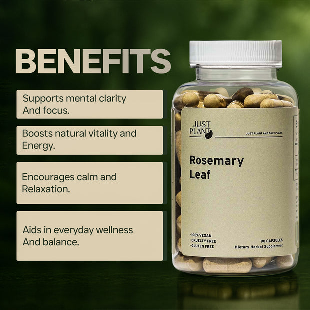 Just Plant Rosemary Leaf Supplement – 90 Vegan Capsules, 500 mg