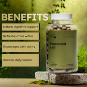 Just Plant Peppermint Leaf Supplement – 90 Vegan Capsules, 750 mg