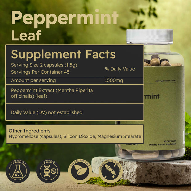 Just Plant Peppermint Leaf Supplement – 90 Vegan Capsules, 750 mg