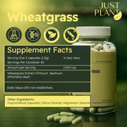 Just Plant Wheatgrass – 90 Vegan Capsules, 500 mg