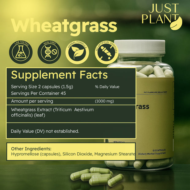 Just Plant Wheatgrass – 90 Vegan Capsules, 500 mg