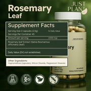 Just Plant Rosemary Leaf Supplement – 90 Vegan Capsules, 500 mg