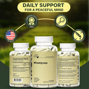 Just Plant Wheatgrass – 90 Vegan Capsules, 500 mg