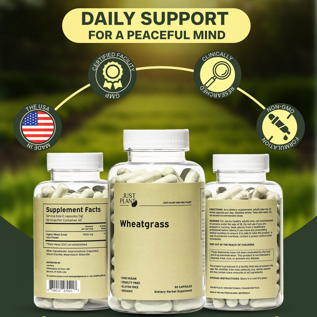 Just Plant Wheatgrass – 90 Vegan Capsules, 500 mg