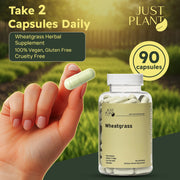 Just Plant Wheatgrass – 90 Vegan Capsules, 500 mg