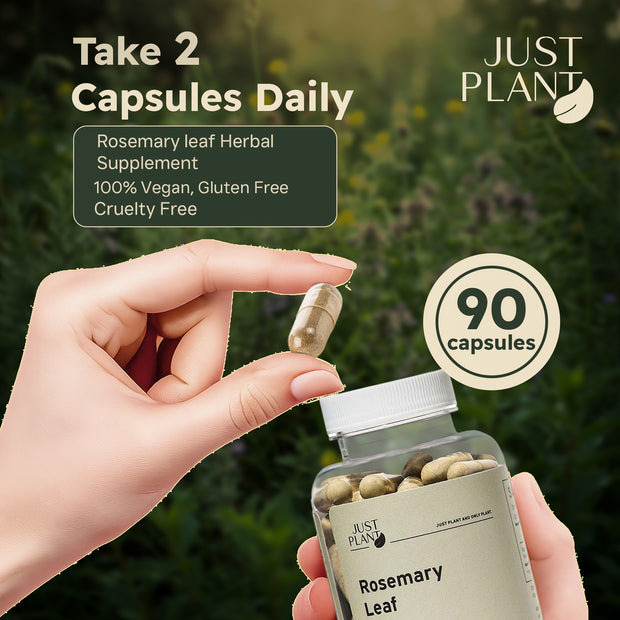 Just Plant Rosemary Leaf Supplement – 90 Vegan Capsules, 500 mg