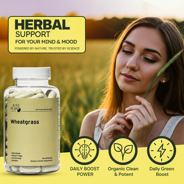 Just Plant Wheatgrass – 90 Vegan Capsules, 500 mg
