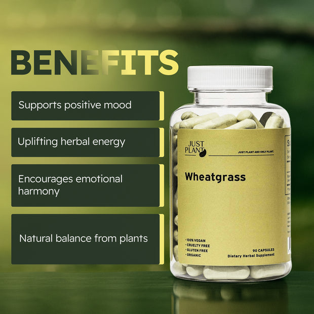 Just Plant Wheatgrass – 90 Vegan Capsules, 500 mg