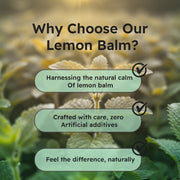 Just Plant Lemon Balm – 90 Vegan Capsules, 750 mg