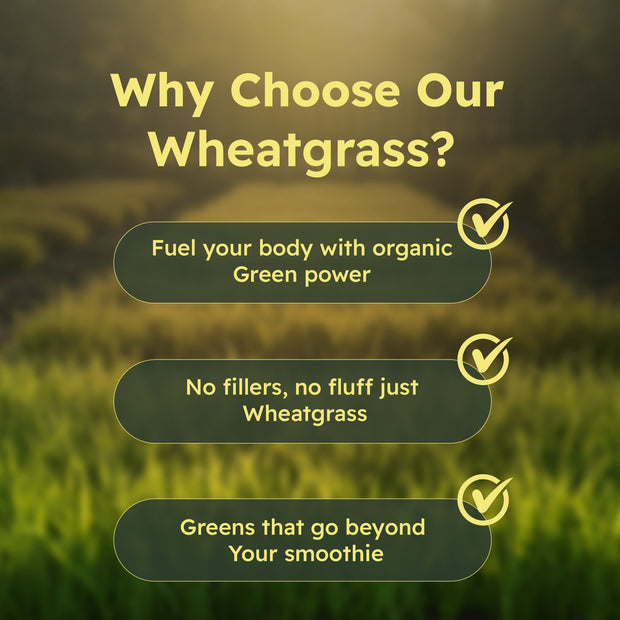 Just Plant Wheatgrass – 90 Vegan Capsules, 500 mg