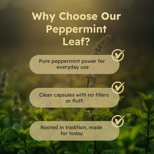 Just Plant Peppermint Leaf Supplement – 90 Vegan Capsules, 750 mg