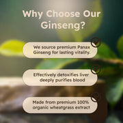 Just Plant Ginseng Dietary Herbal Supplement – 90 Vegan Capsules, 750 mg