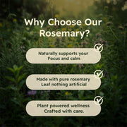Just Plant Rosemary Leaf Supplement – 90 Vegan Capsules, 500 mg