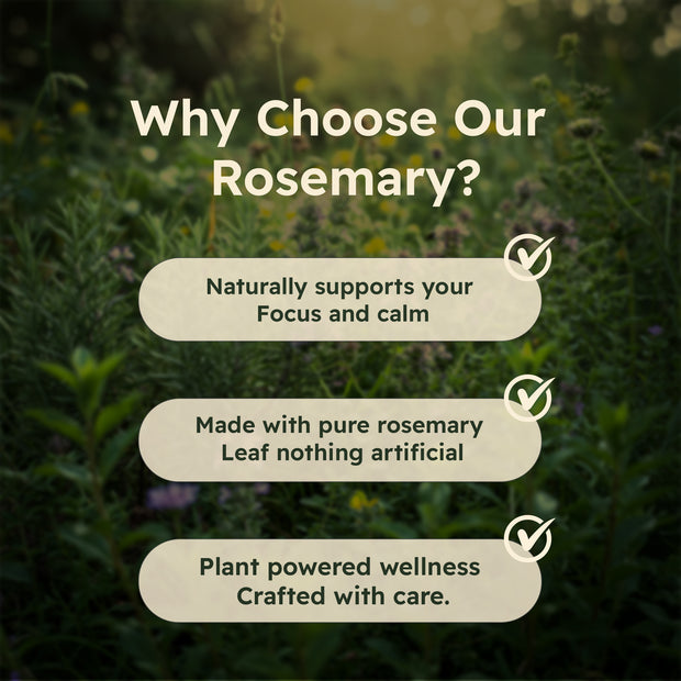 Just Plant Rosemary Leaf Supplement – 90 Vegan Capsules, 500 mg