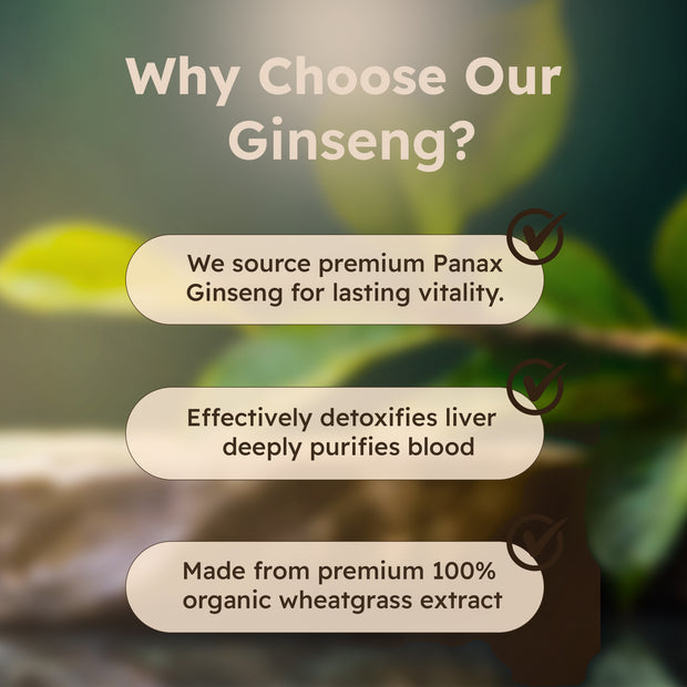 Just Plant Ginseng Dietary Herbal Supplement – 90 Vegan Capsules, 750 mg
