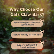 Just Plant Cat’s Claw Bark Supplement – 90 Vegan Capsules, 750 mg