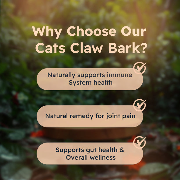 Just Plant Cat’s Claw Bark Supplement – 90 Vegan Capsules, 750 mg